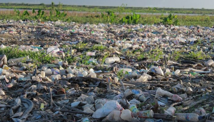 Empat Fakta Perkembangan Danau Limboto Gorontalo saat ini