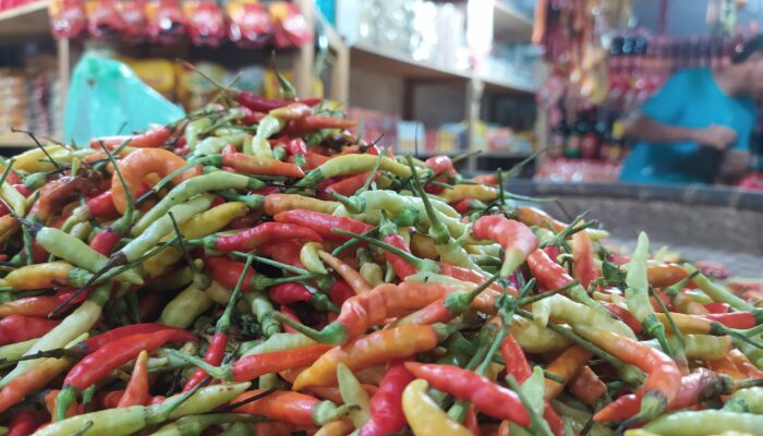 Harga Cabai Rawit Jadi Biang Kerok Melonjaknya Angka Inflasi Gorontalo