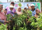 Pesan Merlan Uloli Usai Panen Sayur Bareng Emak-Emak