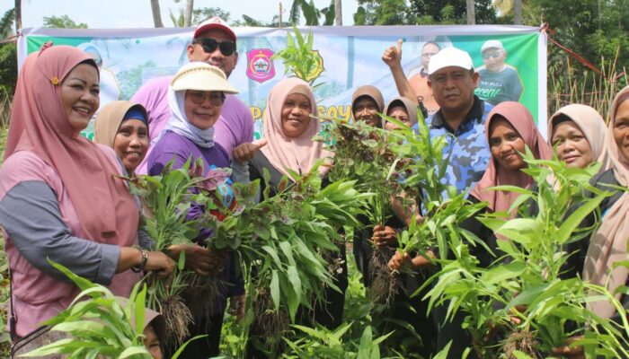 Pesan Merlan Uloli Usai Panen Sayur Bareng Emak-Emak
