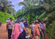 Petani Sawit di Buol Hentikan Operasional Kebun Plasma PT. HIP