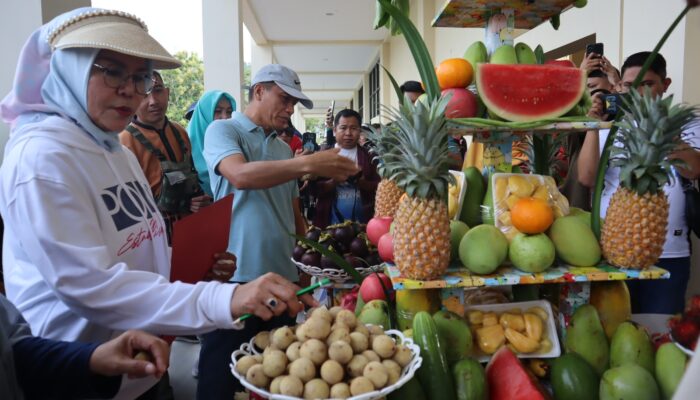 Melihat Gerakan Masyarakat Mengkonsumsi Buah di Bone Bolango