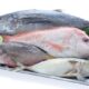 Kenali Aneka Ragam Ikan Laut yang tidak bisa dimakan penderita asam urat (Foto:sajiansedap.grid.id/Hibata.id)