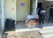 Polda Gorontalo Sisir lokasi Bandara Lama dengan Anjing Pelacak, Ada Apa?