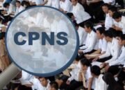 Perekrutan CPNS 2024 Tidak Jelas, Pengumuman Kerap Berubah