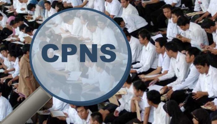 Minim Pendaftar, CPNS 2024 Masih Prioritaskan Formasi Auditor