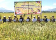 Kementan RI Beberkan Dua Strategi Tingkatkan Produktivitas Petani Sawah di Bonebol