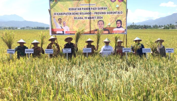 Kementan RI Beberkan Dua Strategi Tingkatkan Produktivitas Petani Sawah di Bonebol