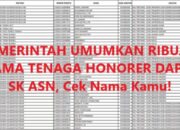 Cek Nama Anda, Berikut Ribuan Nama Tenaga Honorer Dapat SK ASN 2024