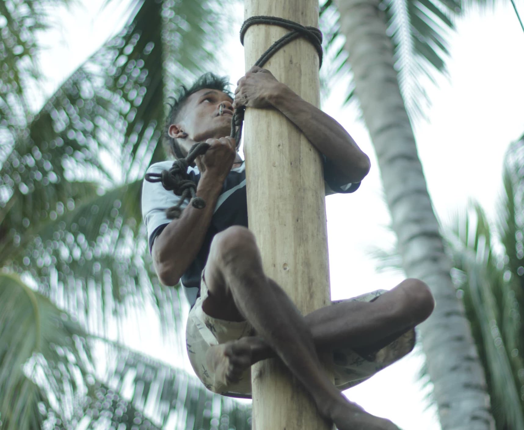 Seseorang warga Piloliyanga  sedang memanjat pinang. (Foto: Panitia Pelaksana)
