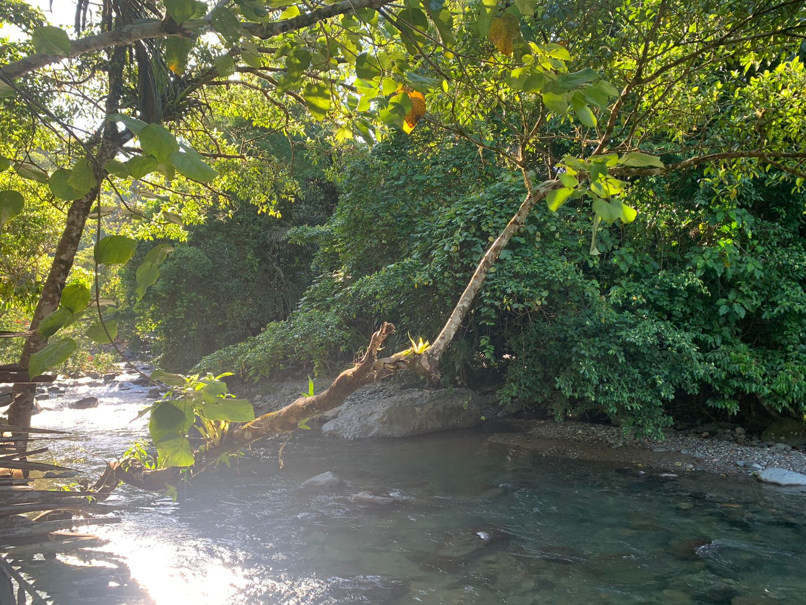 Destinasi wisata alam ini terletak di jantung hutan tropis Gorontalo