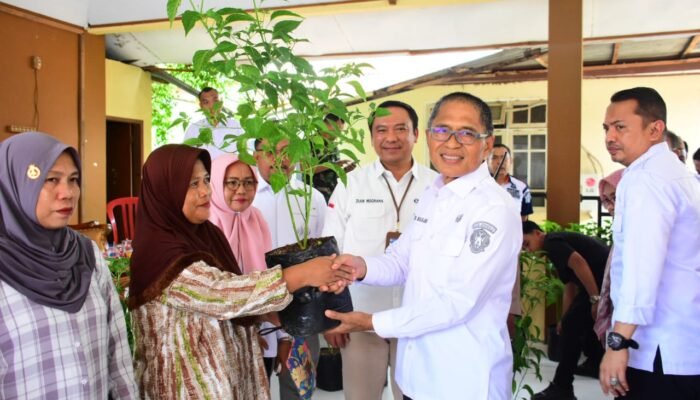 Pemkot Gorontalo Terus Salurkan Bantuan Bibit Cabe