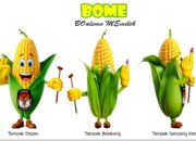 Komoditi Jagung Jadi Maskot KPU Boalemo di Pilkada 2024