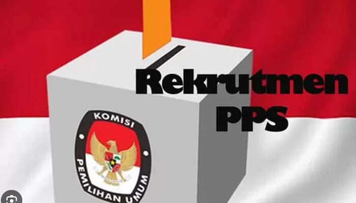 Gambaran Soal Ujian CAT PPS di Pilkada 2024