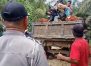 Petani Plasma Buol dan Buruh Kebun PT HIP Bentrok, 3 Orang Cedera