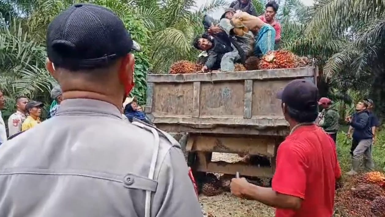 Kondisi petani plasma buol dan sekelompok buruh yang tengah bentrok. (Foto: Forum Petani Plasma Buol)