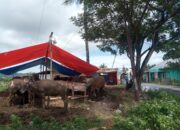 Pasar hewan di Kecamatan Tilongkabila, Bone Bolango jelang Hari Raya Idul Adha/Hibata.id