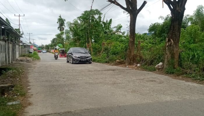 Kondisi Jalan Wongkaditi Timur Rawan Kecelakaan, Truk Pengangkut Semen Jadi Penyebab/Hibata.id