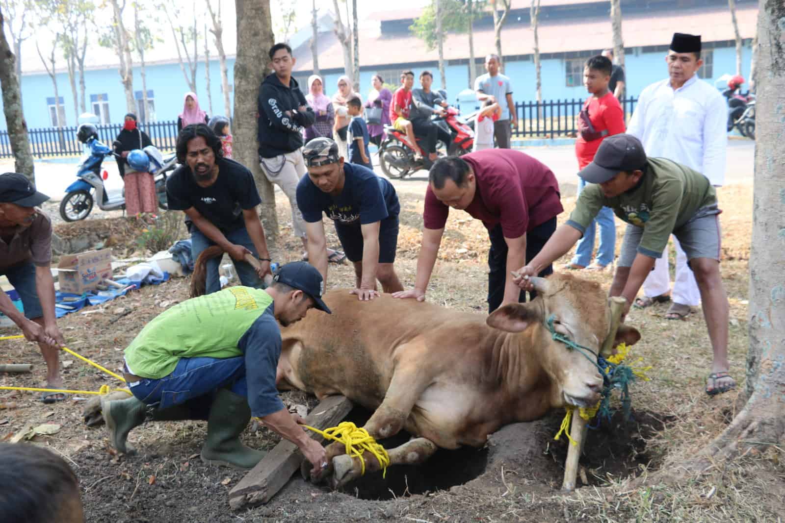 Doa dan Tatacara Menyembelih Hewan Kurban Idul Adha.Foto: Ist/Hibata.id