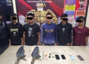 6 Pelaku Pencurian Knalpot Diringkus Polresta Gorontalo Kota