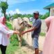 Kepala Dinas KPP saat pengawasan hewan qurban beberapa waktu lalu. (Foto: Humas Pemkot Gorontalo)