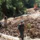 Balai Gakkum KLHK Wilayah Sulawesi saat melakukan penangkapan terhadap pelaku tambang ilegal/Hibata.id