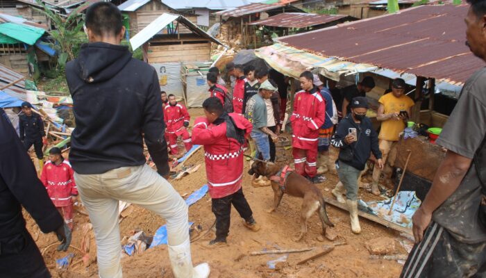 Pasukan Merah Polda Gorontalo Evakuasi Korban Longsor di Tambang Suwawa