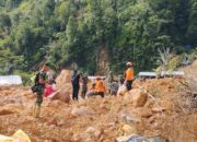 Pencarian hari ke-6 ini, tim pencari kembali berhasil menemukan satu korban tanah longsor yang berlokasi di Desa Tulabolo Timur, Kecamatan Suwawa, Kabupaten Bonebol, Jumat (12/07/24)/Hibata.id