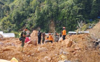 Pencarian hari ke-6 ini, tim pencari kembali berhasil menemukan satu korban tanah longsor yang berlokasi di Desa Tulabolo Timur, Kecamatan Suwawa, Kabupaten Bonebol, Jumat (12/07/24)/Hibata.id