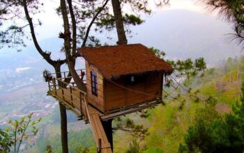 Rekomendasi Wisata Rumah Pohon/Hibata.id