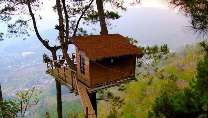 Wisata Rumah Pohon yang Direkomendasikan di Akhir Pekan