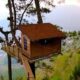 Rekomendasi Wisata Rumah Pohon/Hibata.id