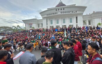 Ratusan massa dari Aliansi Peduli Konstitusi (Petisi) menggelar aksi demonstrasi di depan Kantor DPRD Provinsi Gorontalo/Hibata.id