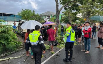 Mobil pickup yang mengalami kecelakaan tunggal saat dievakuasi oleh Basarnas Gorontalo. (Foto: Humas Polesta Gorontalo Kota)/Hibata.id