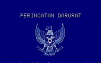 Peringatan Darurat Garuda Biru viral di Media Sosial/Hibata.id