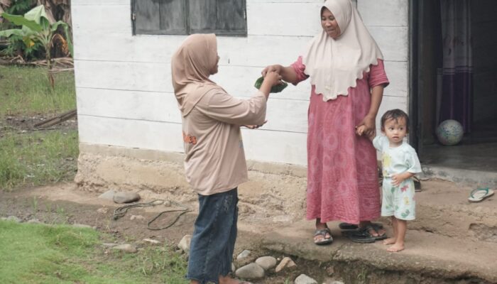 AJI Gorontalo Bersama GEF SGP Hidupkan Kembali Padi Ladang di Desa Saritani