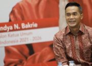 Anindya Bakrie secara resmi terpilih sebagai Ketua Umum Kamar Dagang dan Industri (Kadin) Indonesia dalam Musyawarah Nasional Luar Biasa (Munaslub)/Hibata.id