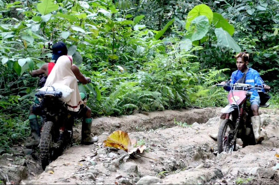 Kondisi Jalan Pinogu yang memprihatinkan/Hibata.id