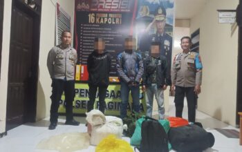 Polisi berhasil mengamankan 240 liter minuman keras (Miras) jenis cap tikus di Kecamatan Pagimana, Kabupaten Banggai/Hibata.id