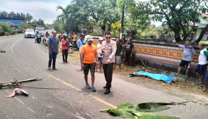 Kecelakaan Maut di Toili Barat, Pengendara Motor Tewas di Tempat