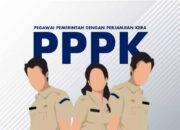 Alur Seleksi PPPK 2024, Pendaftaran Lewat sscasn.bkn.go.id/Hibata.id