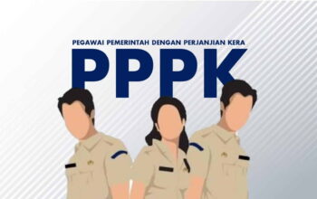 Alur Seleksi PPPK 2024, Pendaftaran Lewat sscasn.bkn.go.id/Hibata.id