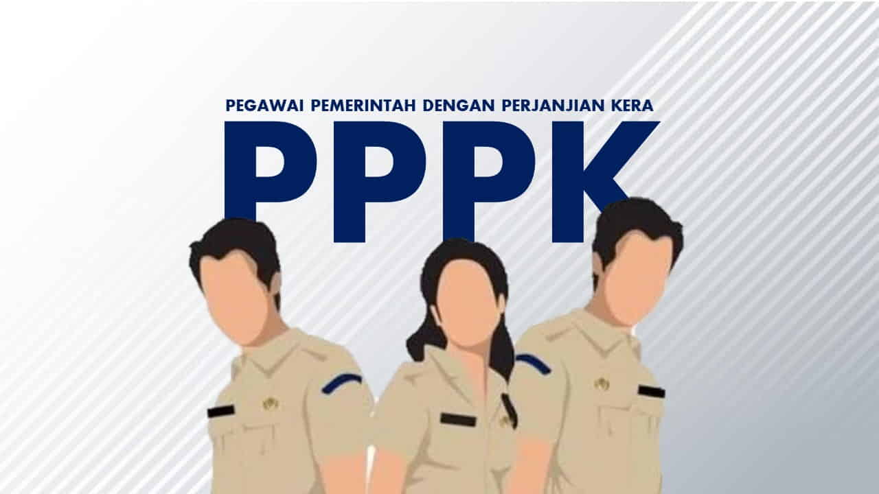 Alur Seleksi PPPK 2024, Pendaftaran Lewat sscasn.bkn.go.id/Hibata.id