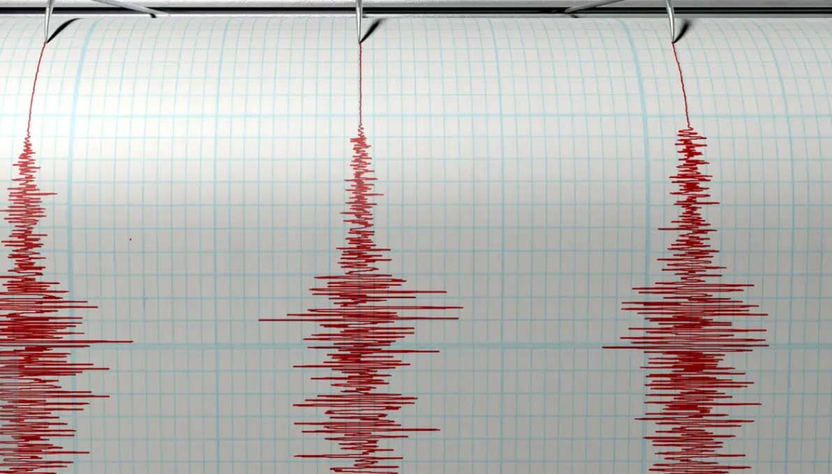 Cara Antisipasi Diri Hadapi Bencana Gempa Bumi/Hibata.id