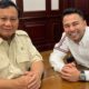 4 Artis Termasuk Raffi Ahmad Masuk Daftar 59 Calon Wakil Menteri/Hibata.id