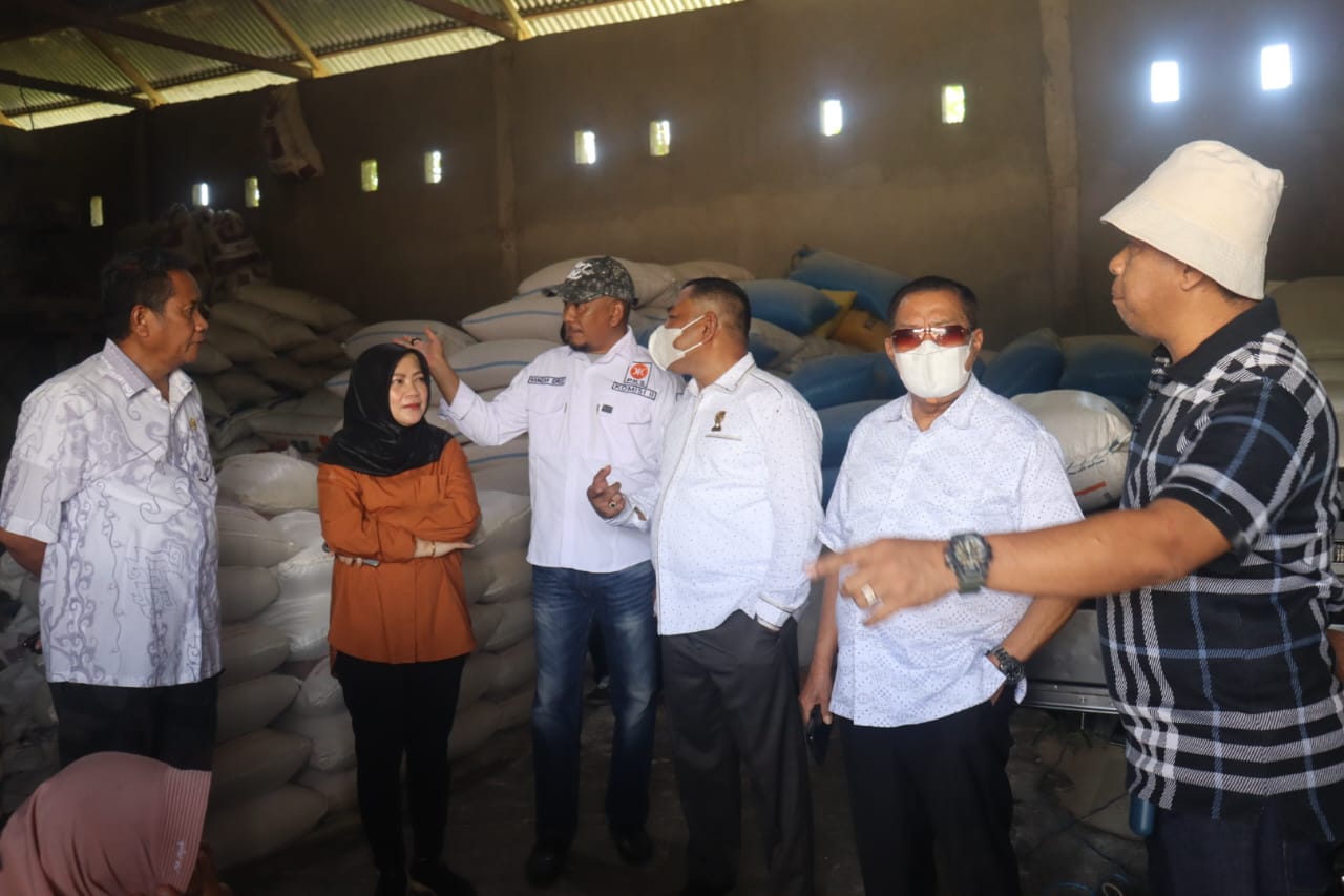 Komisi II DPRD Provinsi Gorontalo melakukan kunjungan lapangan ke peternakan ayam UD Budi Karsa di Desa Tamboo/Hibata.id