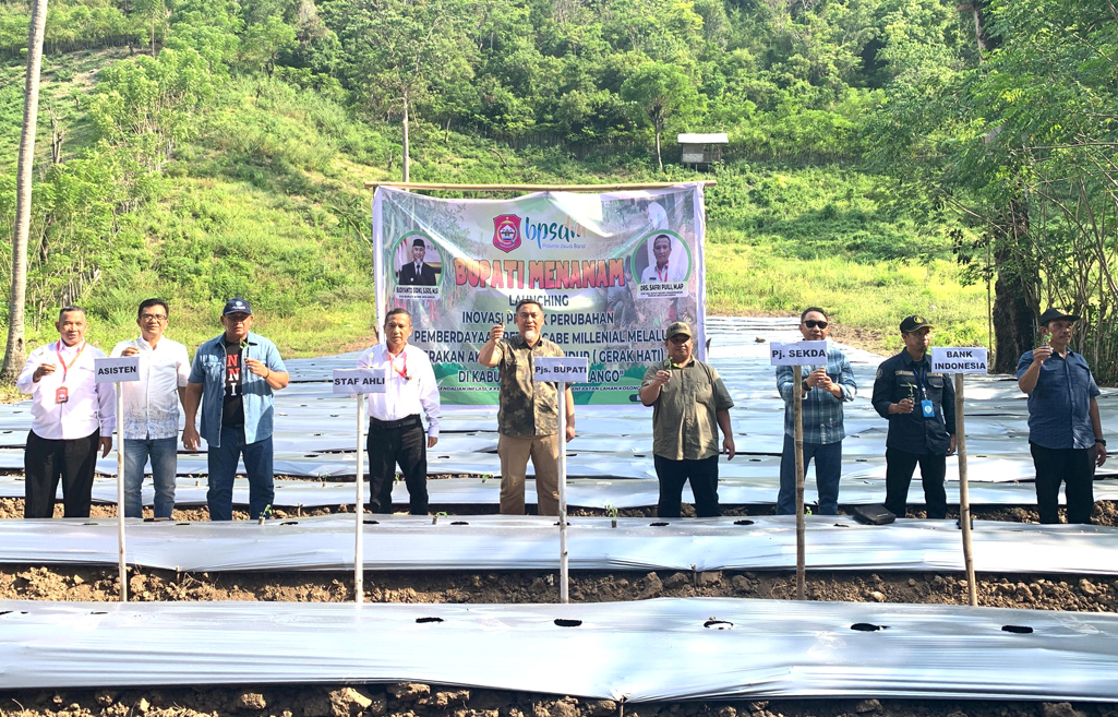 Potensi Pertanian Cabai di Bone Bolango: Tingkatkan Pemanfaatan Lahan Tidur untuk Kesejahteraan Petani Milenial/Hibata.id