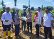 Dukung Swasembada Pangan, Kapolresta Gorontalo Kota Tanam Jagung