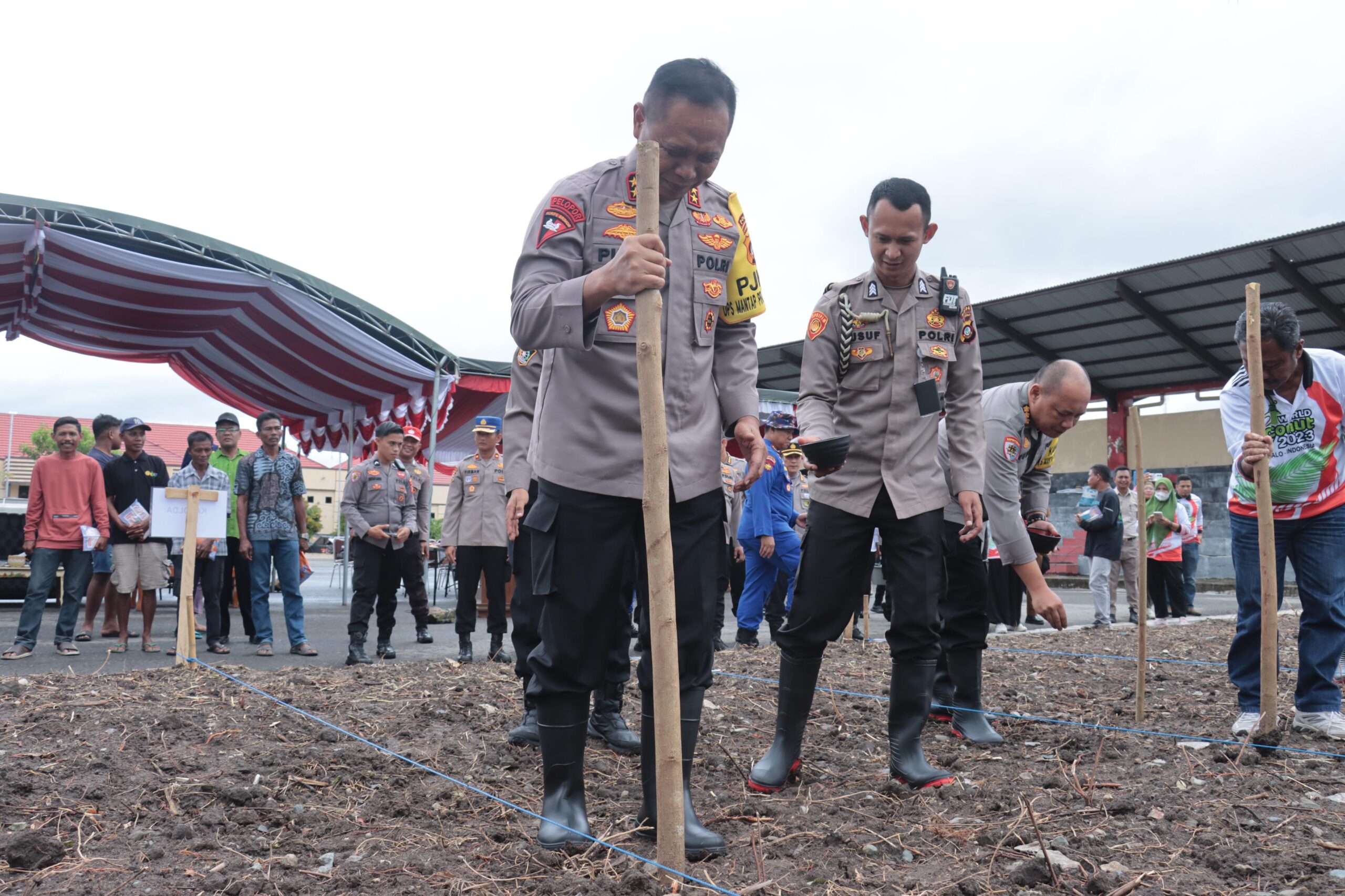 Kapolda Gorontalo Irjen Pol. Pudji Prasetijanto Hadi, MH saat melakukan penanaman jagung/Hibata.id
