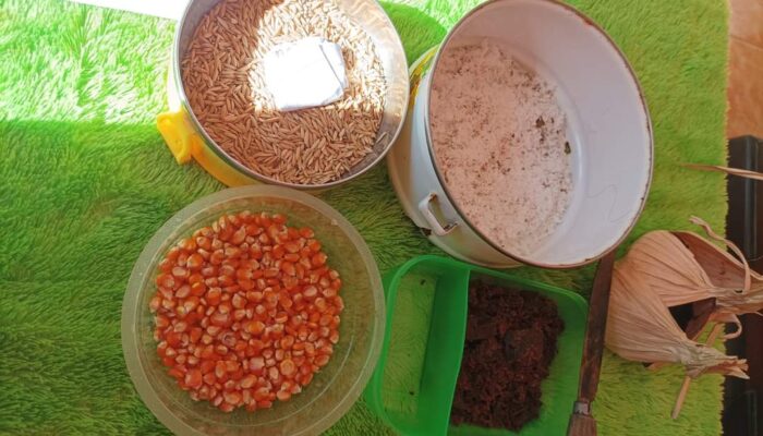 Tradisi Payango, Warisan Adat Gorontalo dalam Membangun Rumah Impian